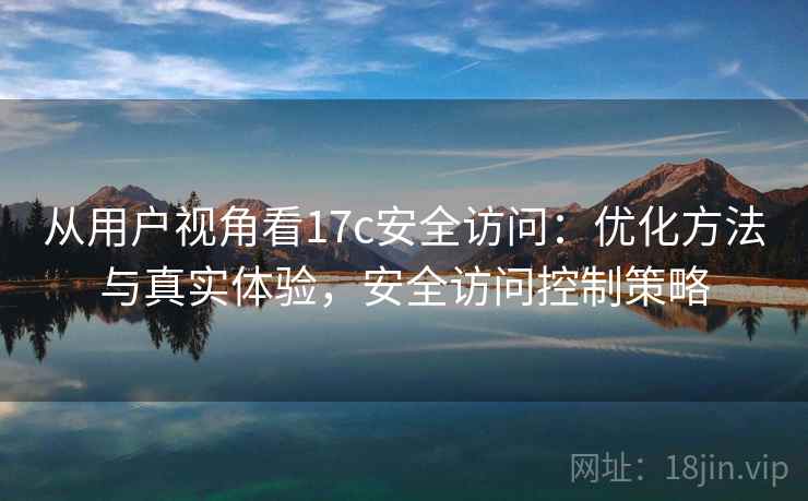从用户视角看17c安全访问:优化方法与真实体验,安全访问控制策略 从用户视角看17c安全访问:优化方法与真实体验,安全访问控制策略