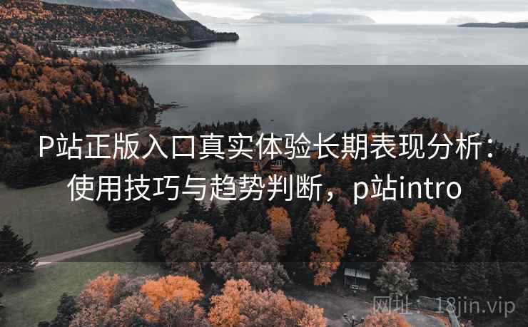 P站正版入口真实体验长期表现分析:使用技巧与趋势判断,p站intro P站正版入口真实体验长期表现分析:使用技巧与趋势判断,p站intro