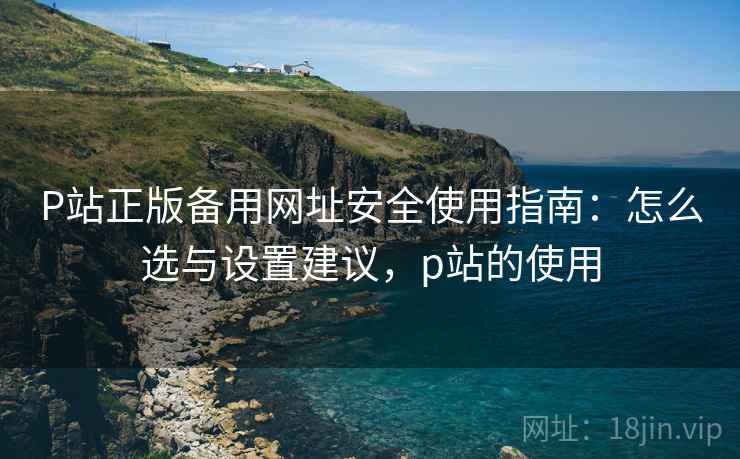 P站正版备用网址安全使用指南：怎么选与设置建议，p站的使用