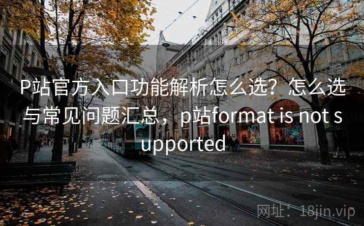 P站官方入口功能解析怎么选？怎么选与常见问题汇总，p站format is not supported