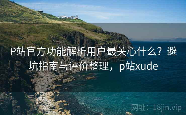P站官方功能解析用户最关心什么？避坑指南与评价整理，p站xude