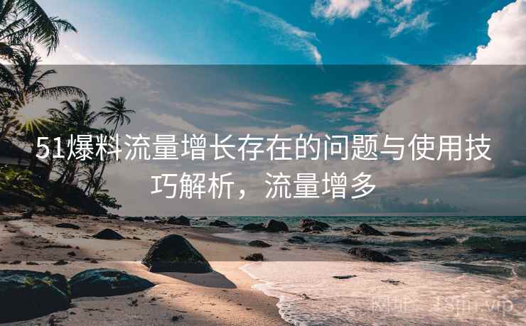 51爆料流量增长存在的问题与使用技巧解析，流量增多