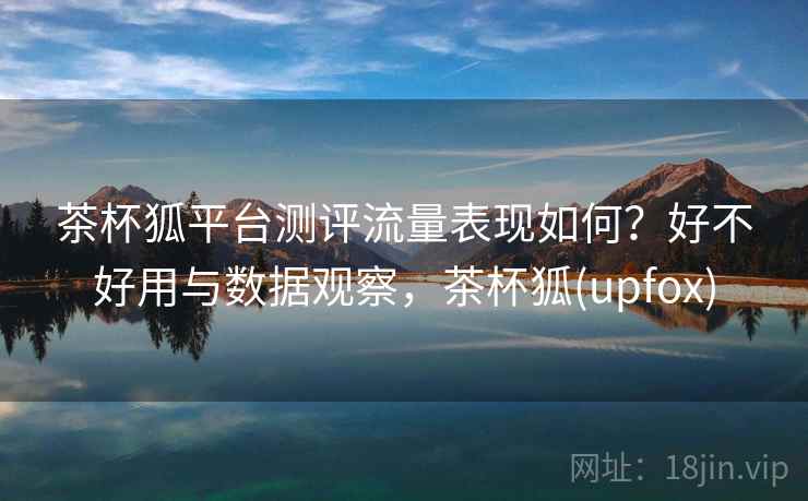 茶杯狐平台测评流量表现如何？好不好用与数据观察，茶杯狐(upfox)