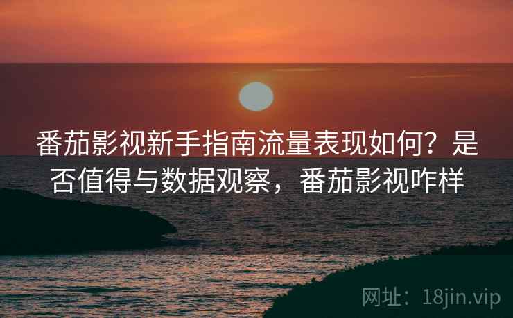 番茄影视新手指南流量表现如何？是否值得与数据观察，番茄影视咋样