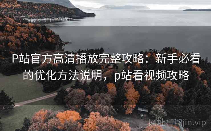 P站官方高清播放完整攻略：新手必看的优化方法说明，p站看视频攻略