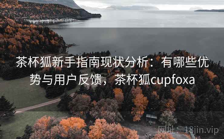 茶杯狐新手指南现状分析：有哪些优势与用户反馈，茶杯狐cupfoxa
