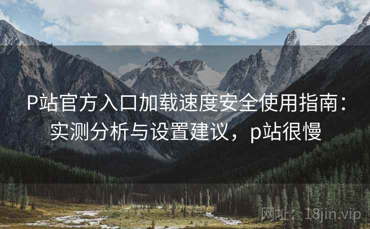 P站官方入口加载速度安全使用指南:实测分析与设置建议,p站很慢 P站官方入口加载速度安全使用指南:实测分析与设置建议,p站很慢