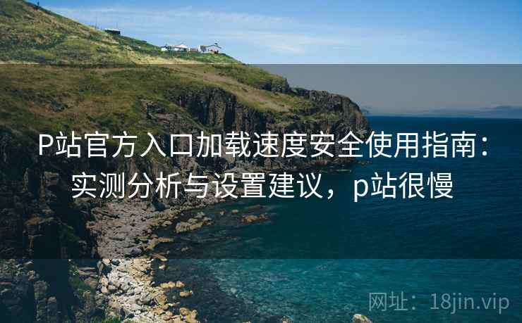 P站官方入口加载速度安全使用指南：实测分析与设置建议，p站很慢