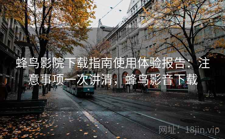 蜂鸟影院下载指南使用体验报告：注意事项一次讲清，蜂鸟影音下载