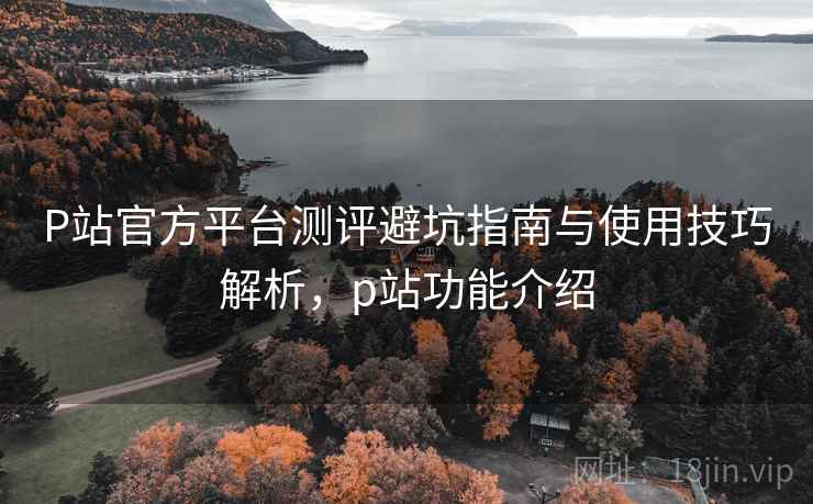 P站官方平台测评避坑指南与使用技巧解析，p站功能介绍