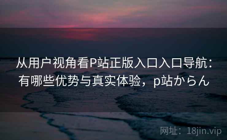 从用户视角看P站正版入口入口导航：有哪些优势与真实体验，p站からん