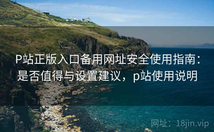 P站正版入口备用网址安全使用指南：是否值得与设置建议，p站使用说明