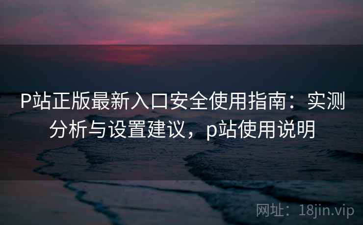 P站正版最新入口安全使用指南：实测分析与设置建议，p站使用说明