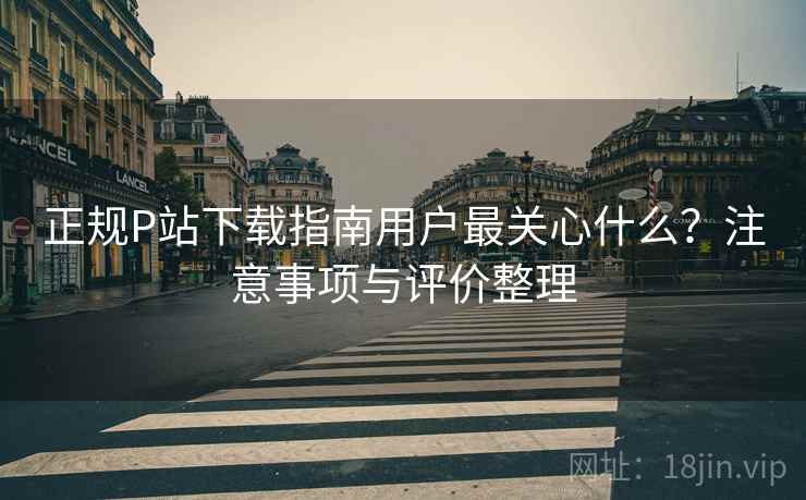 正规P站下载指南用户最关心什么？注意事项与评价整理