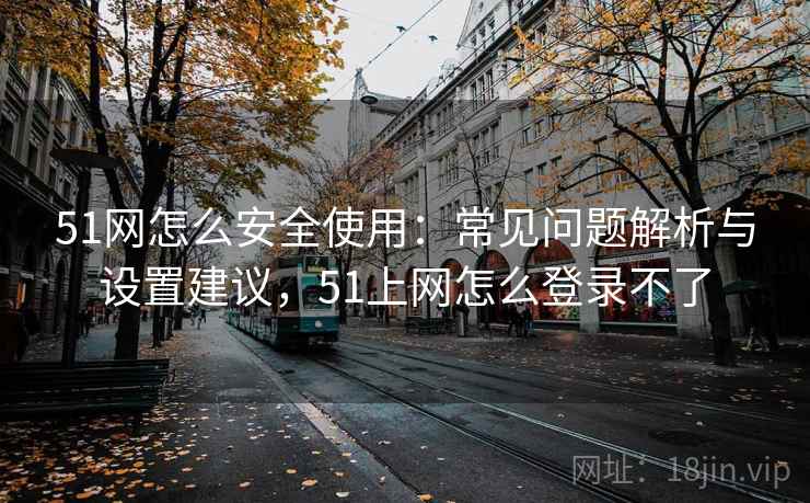 51网怎么安全使用：常见问题解析与设置建议，51上网怎么登录不了