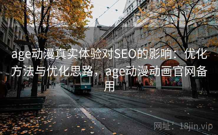 age动漫真实体验对SEO的影响：优化方法与优化思路，age动漫动画官网备用