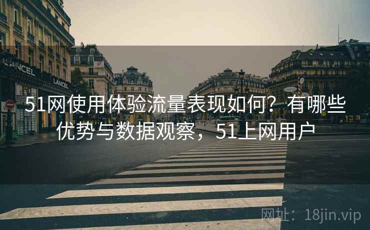 51网使用体验流量表现如何？有哪些优势与数据观察，51上网用户