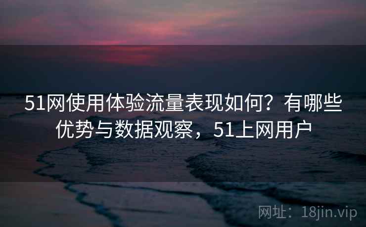 51网使用体验流量表现如何？有哪些优势与数据观察，51上网用户