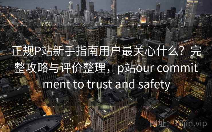 正规P站新手指南用户最关心什么？完整攻略与评价整理，p站our commitment to trust and safety