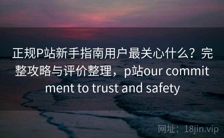 正规P站新手指南用户最关心什么？完整攻略与评价整理，p站our commitment to trust and safety