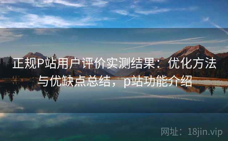 正规P站用户评价实测结果:优化方法与优缺点总结,p站功能介绍 正规P站用户评价实测结果:优化方法与优缺点总结,p站功能介绍