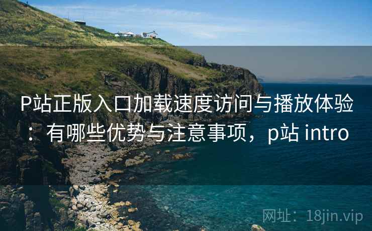 P站正版入口加载速度访问与播放体验:有哪些优势与注意事项,p站 intro P站正版入口加载速度访问与播放体验:有哪些优势与注意事项,p站 intro