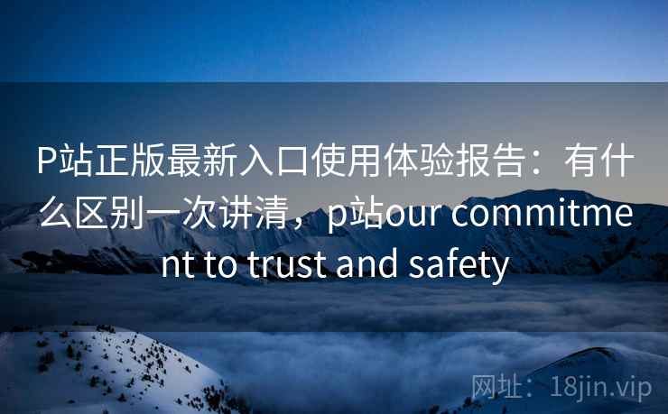 P站正版最新入口使用体验报告：有什么区别一次讲清，p站our commitment to trust and safety
