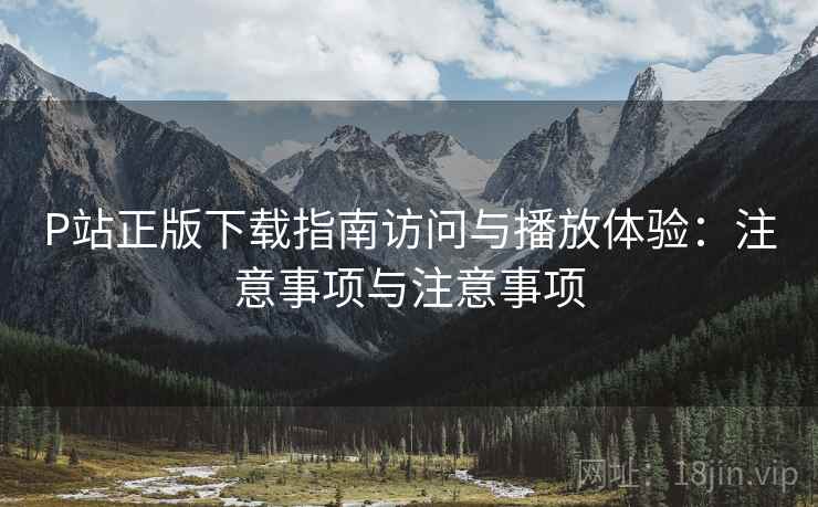 P站正版下载指南访问与播放体验：注意事项与注意事项